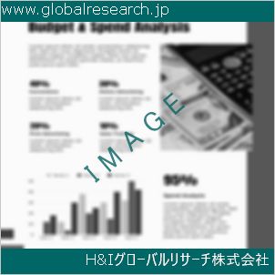 グローバルリサーチ調査資料のイメージ
